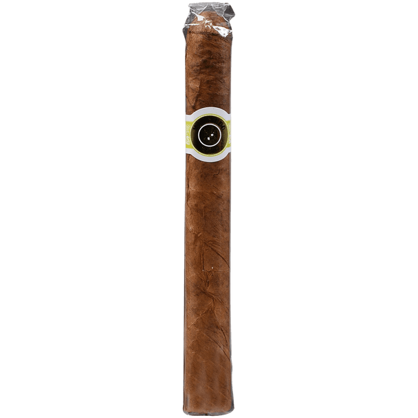 Macanudo Cigars Cafe Ascots 10/10 Tins 4.19X32