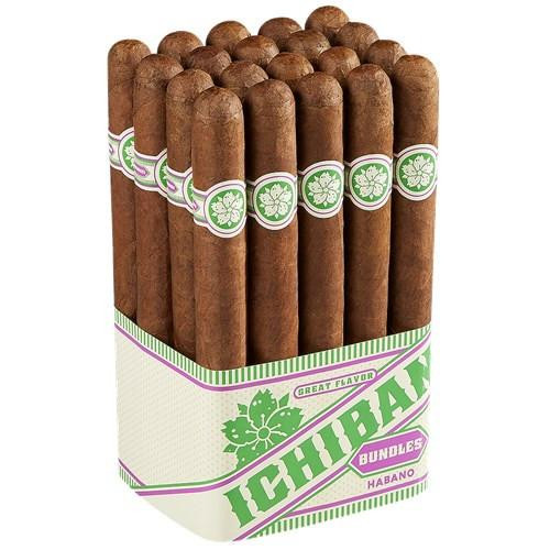 Room 101 Ichiban Habano Cigars, a bundle of cigars with brown wrappers, neatly arranged in a white and green box with purple accents.