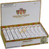 Macanudo Cigars Cafe Thames Tubos 20 Ct. Box 6.00X50