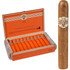 AVO Cigars XO Legato Tubos 20 Ct. Box 6.00X54