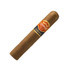 Punch Clasico Rothschild Cigars 50Ct. Box