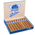 Room 101 Breakfast in Portugal Toro Cigars, open box with 10 cigars neatly arranged.
