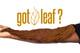 Front King Natural Tobacco Leaf Sweet