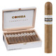 Cohiba Cigars Connecticut Gigante 20 Ct. Box 6.00x60, a wooden box filled with twenty cigars, and a single cigar with a band labeled 'Cohiba Connecticut'.