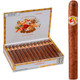 La Gloria Cubana Cigars Charlemagne Natural 25 Ct. Box 7.25X54