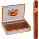 La Gloria Cubana Cigars Charlemagne Natural 25 Ct. Box 7.25X54
