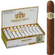 Macanudo Cigars Court Cafe Tubos 30 Ct. Box 4.19X36