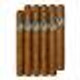 Rosa Cuba Flor de Rosa 5.5 cm 44.0 Pack of 10, image of the pack showing ten rolled cigars with brown bands. Rosa Cuba Flor de Rosa 5.5 cm 44.0 Pack of 10, image of the pack showing ten rolled cigars with brown bands.
