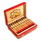AJ Fernandez Dias de Gloria by AJ Fernandez Robusto 20Ct. Box, opened with cigars neatly arranged inside