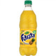 Fanta Exotic Pop Soda Flavors 20oz Bottles