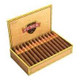 Punch Gran Puro Pico Bonito Toro Cigars 25Ct. Box