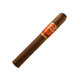 Punch Rare Corojo Rapido Cigars 25Ct. Box, single cigar with a brown wrapper and red and gold band.
