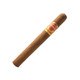 Punch Gran Puro Sierra Cigars Double Corona 25Ct. Box, a single cigar with a brown wrapper and a gold and red band.