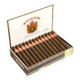 Punch Pita Toro Cigars Maduro 25Ct. Box