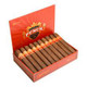 Punch Royal Coronation Cigars 30Ct. Box, open box displaying 30 cigars neatly arranged inside Punch Royal Coronation Cigars 30Ct. Box, open box displaying 30 cigars neatly arranged inside