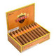 Punch Gran Puro Sesenta Cigars 20Ct Box   Punch Gran Puro Sesenta Cigars 20Ct Box