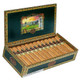 Carlos Torano Casa Torano Robusto Cigars 25Ct. Box, opened cigar box displaying 25 cigars inside with colorful landscape and sunset artwork on the inner lid.
