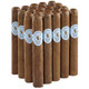 Altadis Casa de Garcia Nicaragua Robusto Cigars 20Ct. Pack, neatly arranged in multiple rows showcasing their brown wrappers with the branded blue and white label.