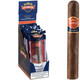 Punch Cigars Freshness Pack Robusto 6ct