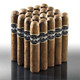Slow-Aged Lot 826 Cigars by Perdomo Cigars
