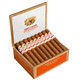 Romeo y Julieta 1875 Nicaragua Cigars, open cigar box displaying neatly arranged cigars with white and orange bands.