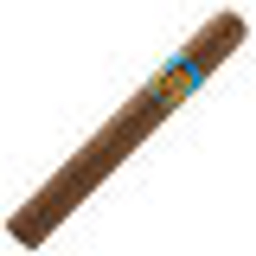 Rosa Cuba Angels 4.5 �� 38.0 Pack of 10