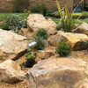 Golden Quartzite Rockery