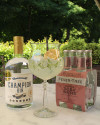 Elderflower Sour Gin Fizz Pack