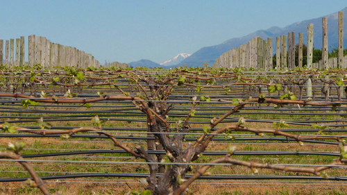 Clos Marguerite