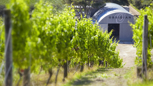 Obsidian Vineyard