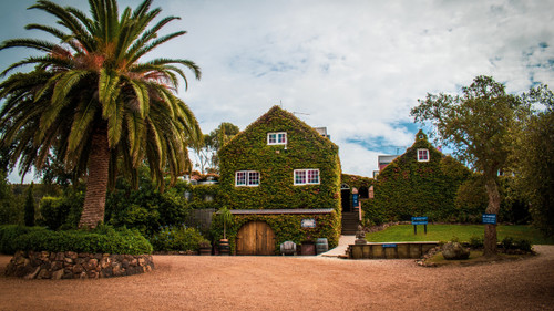 Stonyridge Vineyard