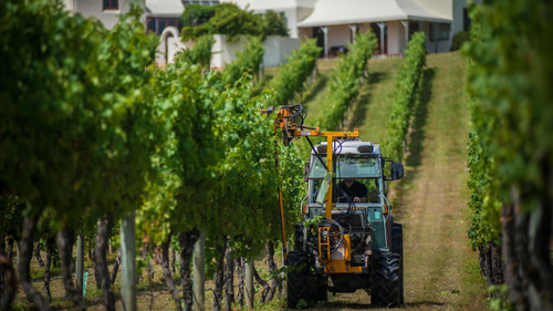 Te Mata Estate