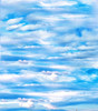 Atlantic Sky Cross Stitch Fabric