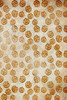 Floating Pumpkins - Patterned Cross Stitch Fabric