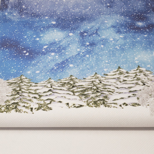 Winter Frost Background