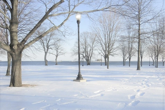 New England Winter Shore