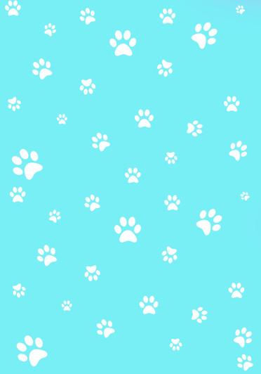 White Paw Prints on Aqua