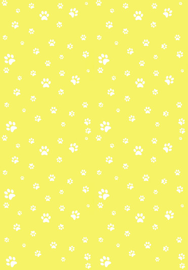 White Paw Prints on Yellow - Small