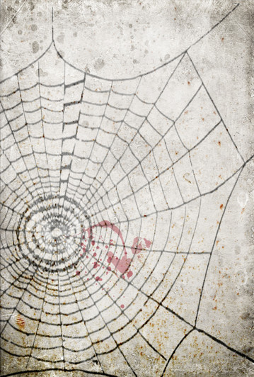 Spattered Webs Cross Stitch Fabric