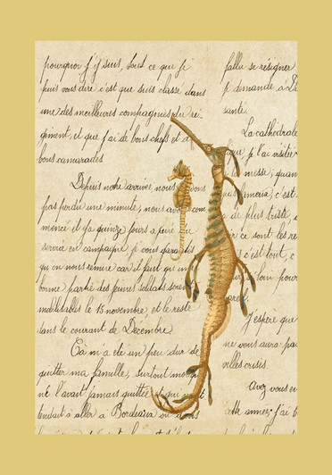 Sea Dragon Writing Cross Stitch Fabric