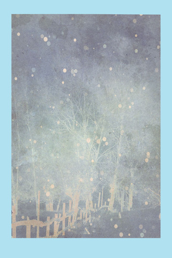 Winter Stroll Cross Stitch Fabric