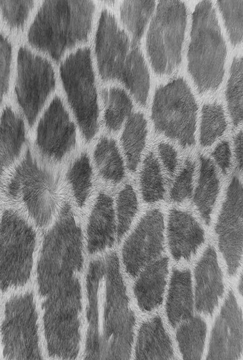 Giraffe Grey Cross Stitch Fabric