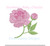 Peony Flower Peonies Bud Spring Preppy Chinoiserie Fill Machine Embroidery Design