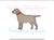 Lab Labrador Dog with Collar Blanket Stitch Applique Machine Embroidery Design