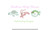 Sea Creature Row Sketchy Light Fill Machine Embroidery Design Puffer Fish Shrimp Turtle