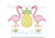 Flamingo Pineapple Row Zig Zag Applique Machine Embroidery Design Summer Girl