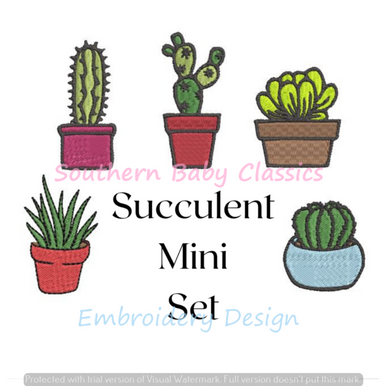 cactus tot Totem Pole Cactus For Sale| Minor Senita Cactus | Cactus Outlet