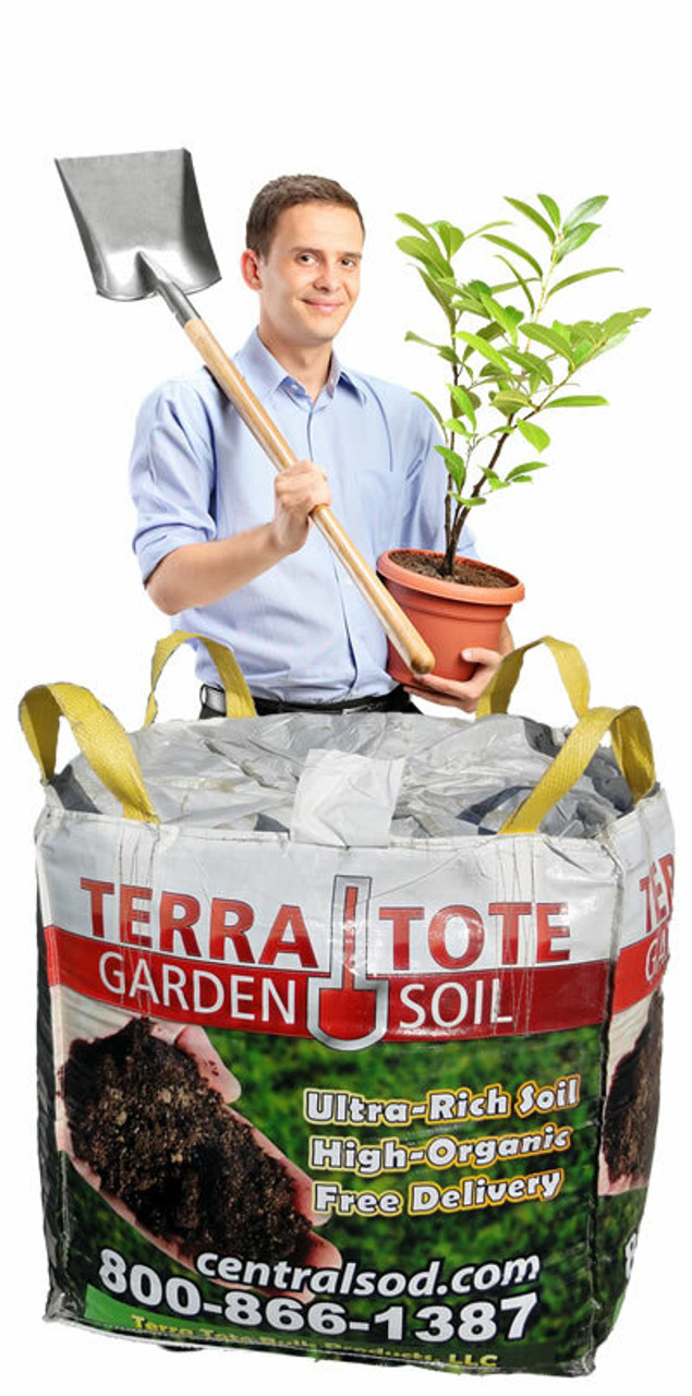 Terra e compost