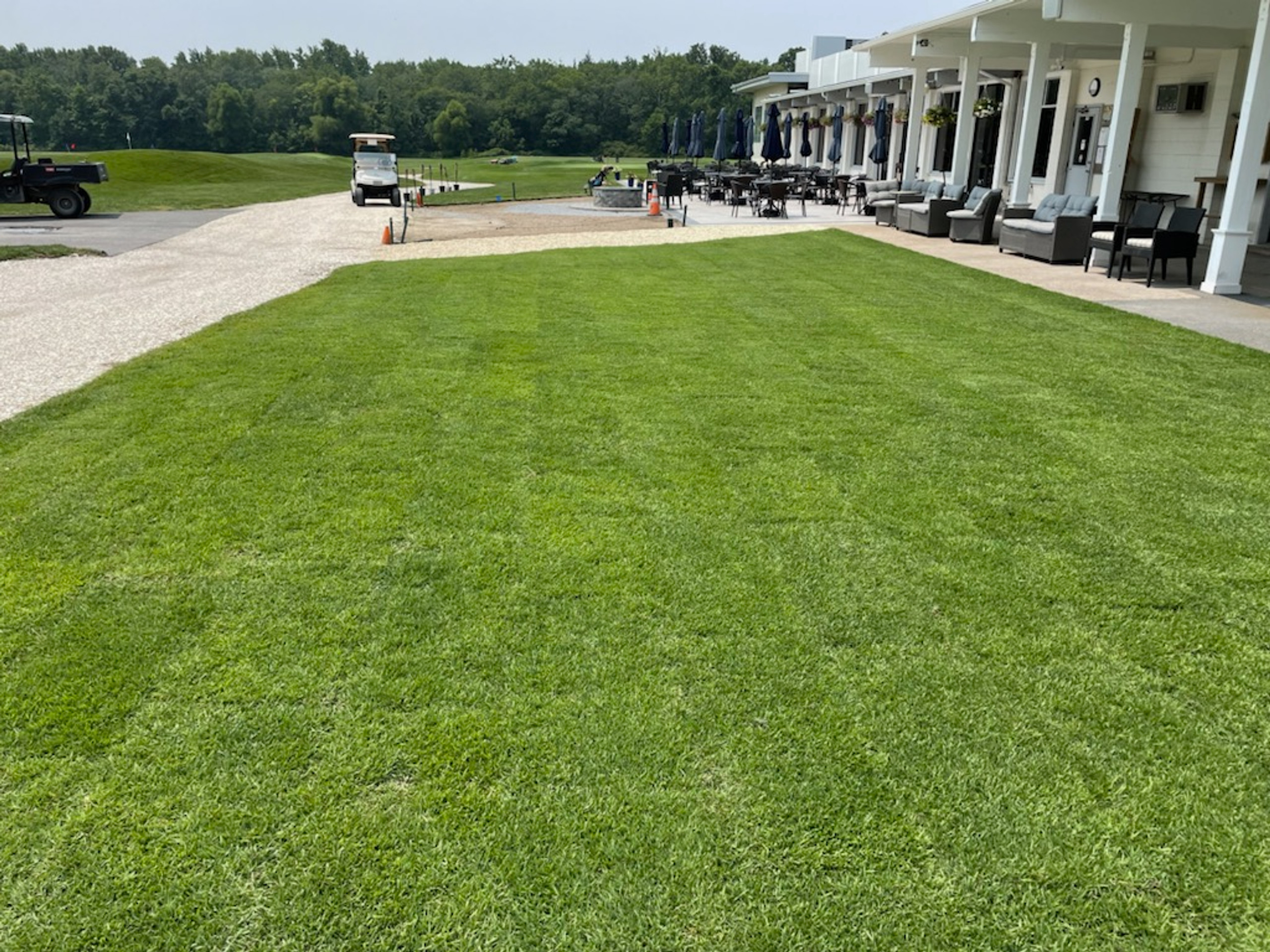 Zenith® Zoysia Grass Sod Central Sod Farms of Maryland, Inc