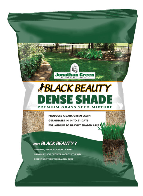 dense shade grass seed